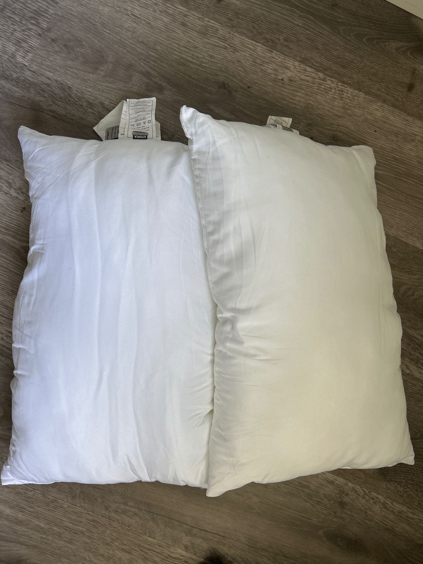 2 Brand new unused Pillows