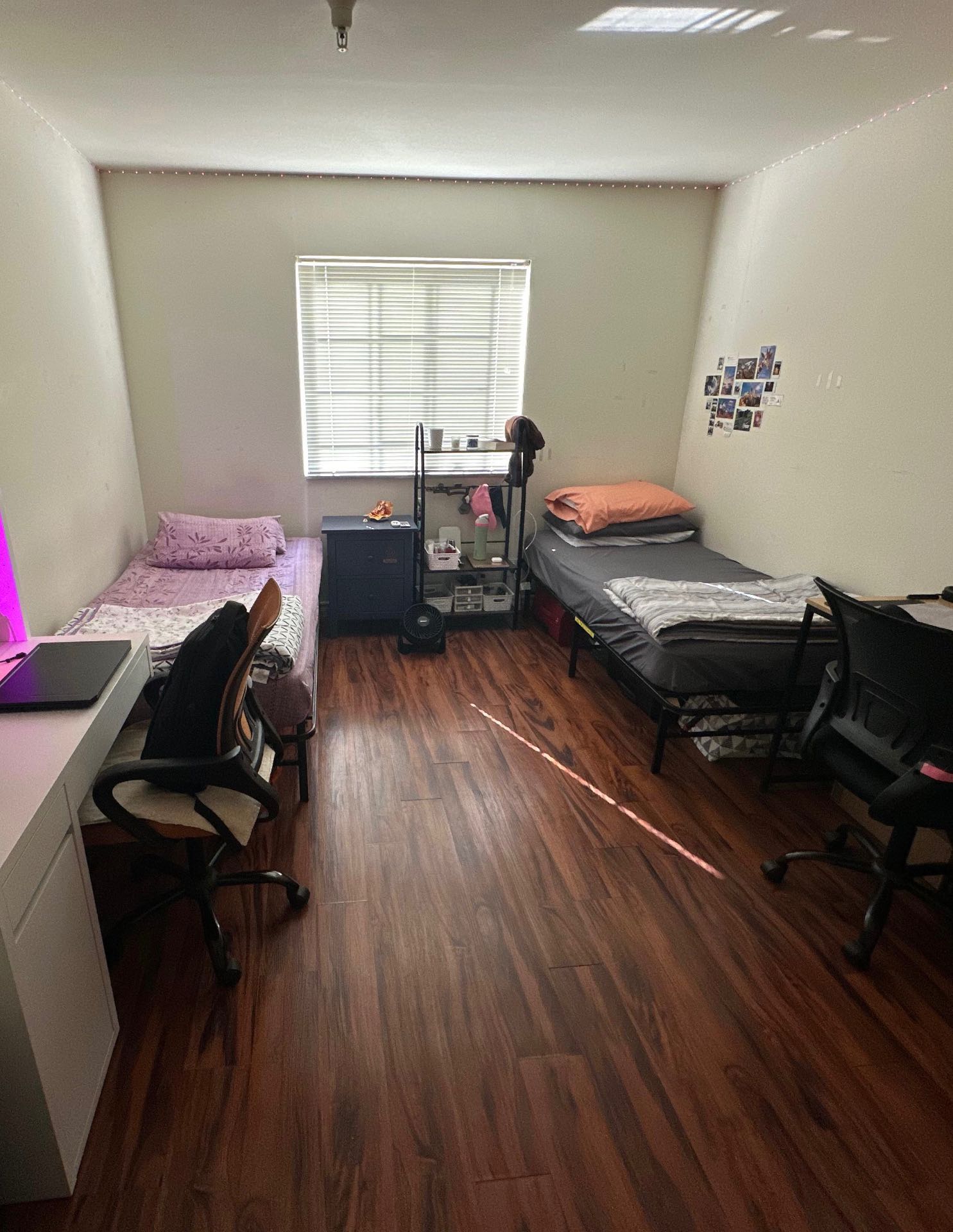 Fall 2025 Lease - Vegetarian ( Females )