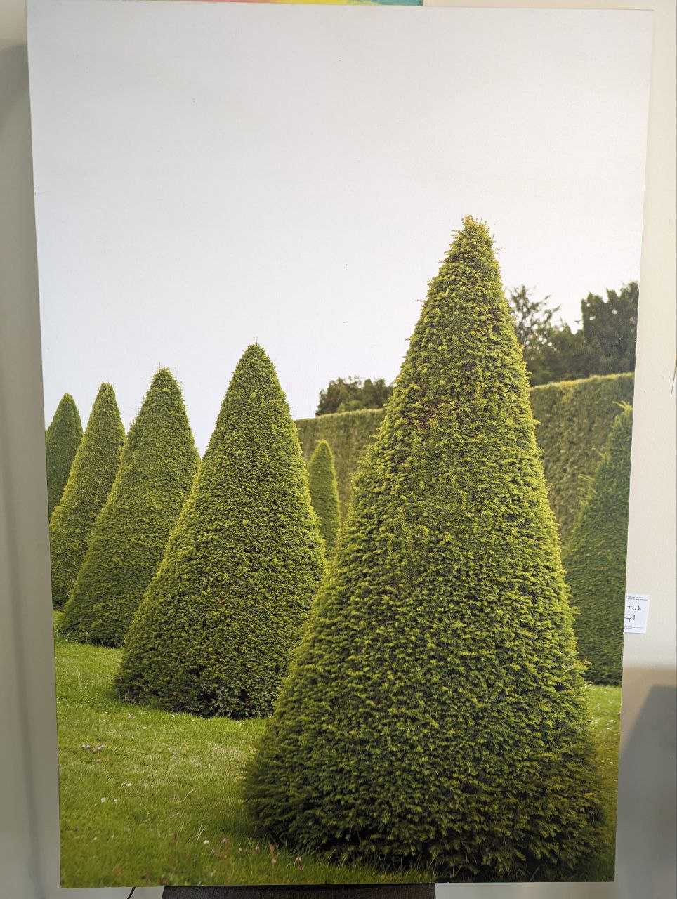 Large canvas print 36x54"