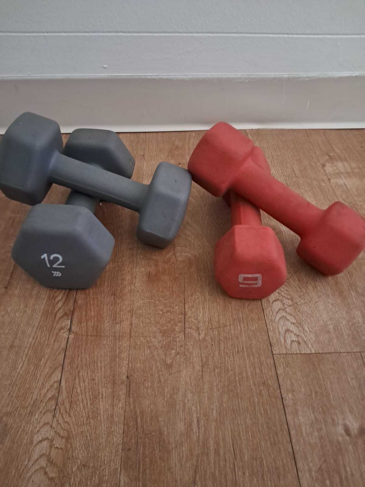 Gym weights