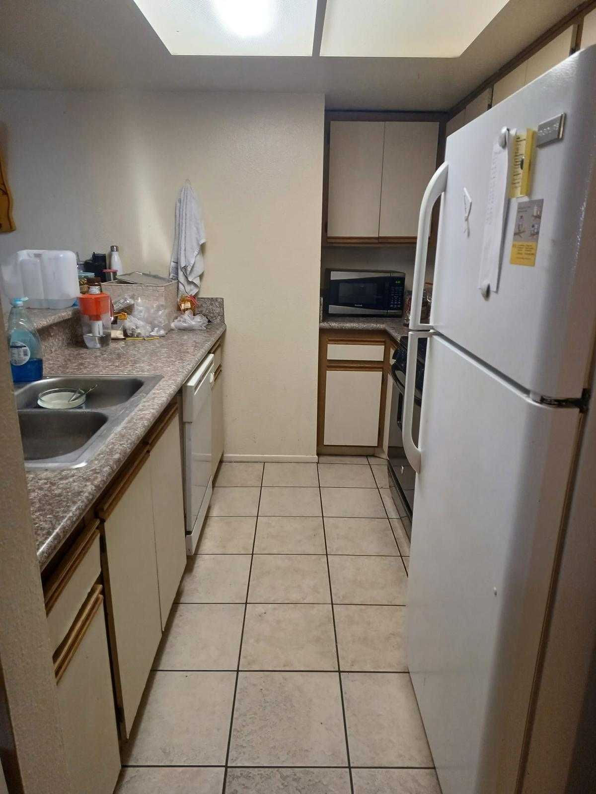 Female Roommate Wanted