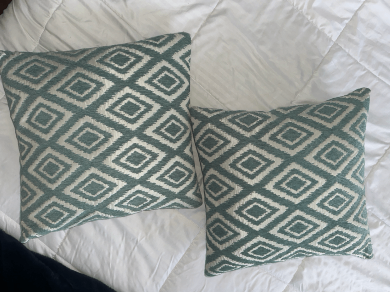 Anthropologie Decorative Pillows